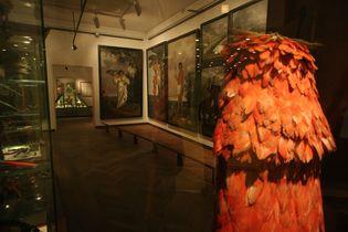 Eckhout-malerierne og fjerkappe fra tupinambaerne i Brasilien. Udstillet i Etnografisk Samling på Nationalmuseet