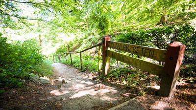 Praktisk information